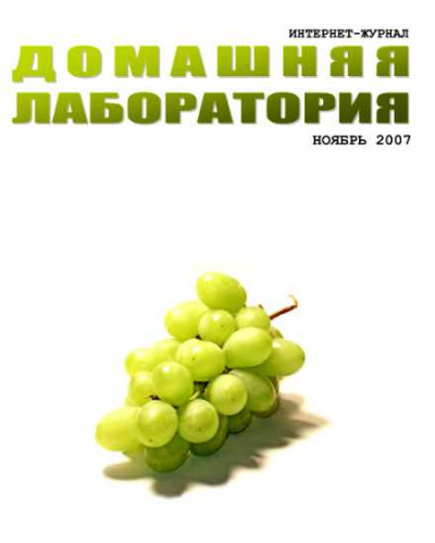 Скачать Интернет-журнал "Домашняя лаборатория", 2007 №11