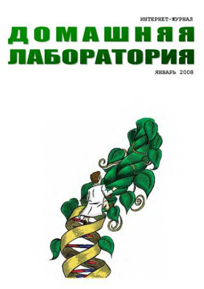 Скачать Интернет-журнал "Домашняя лаборатория", 2008 №1