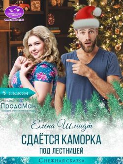 Скачать Сдаётся каморка под лестницей