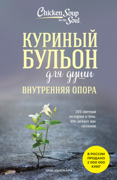 Скачать Куриный бульон для души. Внутренняя опора. 101 светлая история о том, что делает нас сильнее